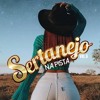 Sertanejo Na Pista 6 2021