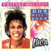 Whitney Houston - How Will I Know (Luca Bootleg)