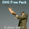 BigRoom EDM(5)🔥DXG Free Pack