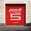 SET PACK - DIH RIBEIRO - VOLUME 5 FREE DOWNLOAD