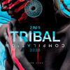 Ivan Diaz - Tribal Compilation 2025 (32 Tracks)