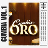 CUMBIAS DE ORO VOL.1 2025 💃🏾🎶