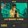 Hybrid Vibe Vol.2 ; Roc Edit/Mashup