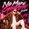 No More Goodbye 2026 - Rio