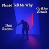 Please Tell Me Why - Don Raemo (OriDee RMX)