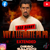 Bad Bunny - Voy a Llevarte Pa PR Extended