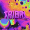SABOR A TRIBAL VOL.4
