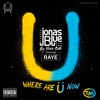 By Your Side x Where Are U Now (LUCENNE BLEND)