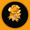 Rosas - Ana Carolina x DJ Vinni Ceccotti- Remix