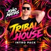 PACK FREE INTRO Tribal House 2026