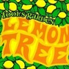 Lemon Tree (AVAXC Bootleg)