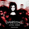 Evanescence - Going Under (Pandora Plur Remix)