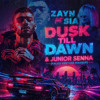 ZAYN feat. Sia - Dusk Till Dawn & Junior Senna (