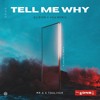 Mr. A, Touliver - Tell Me Why (Elision & AKA Rem