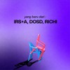 Miracle River x Dont Go (IRS+A, DOSD, Richi Edit