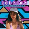 COLOCAO (REMIX) NICKI NICOLE - DJLB