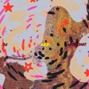 DJ Latinchat - Loquere