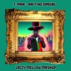 T-Pain - Ain't No Sprung (Jazzy Mellow Mashup)