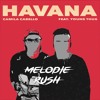 Camila Cabello - Havana (Melodie Rush Remix)