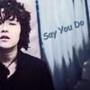 Say You Do - LIX x HF