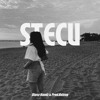 STECU - ( Dipsy Handz & Prod Hxlvng Edit )