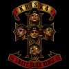 GUNS N BOLHAS