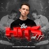 The Hits Vol.17