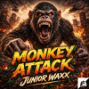 monkey attack