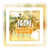 JUNIOR & DJ SEBB - IGOM_(AVISH_REMIX)