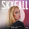 SKYFALL - Adele; T. Antony; D. Brasil (MASHUP)