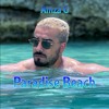 Download Paradise Beach for free