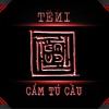 𝗖𝗔̂̉𝗠 𝗧𝗨́ 𝗖𝗔̂̀𝗨 = TËИI remix
