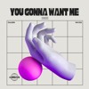 You Gonna Want Me