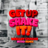 GET UP SHAKE IT - WESLLEY CHAGAS
