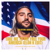 Take me to the free your America (Elon K Edit)
