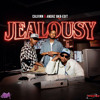 Jealousy (Calvinn & Andrz Edit)