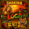 Shakira ft El Cata - Loca (Afro Remix)