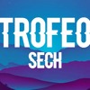TROFEO - SECH (ALEX ESTEPA EDIT)