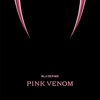 BLACKPINK - ‘Pink Venom’ (Dario Xavier Remix)