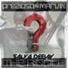 Music Sesion #49 X The Riddle (SalvaDeejay EDIT)