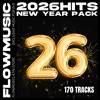 2026 HITS (BEST OF 2025) - 170 TRACKS