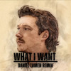 What I Want (Daniel Tomen Remix)