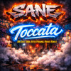 SANE - Toccata Mr. Dust Tribal After Personal