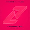 A Different Way (Pranil Refix )