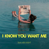 I KNOW YOU WANT ME [ SULVES EDIT ]
