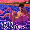LATIN ESSENTIALS Vol. 1 By Mashup Dealer