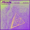 Miracle (Shadow Zak Remix)