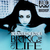 Evanescence  - Bring Me to Life Short (Nub Mash)