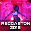 Reggaeton mixtape 2018 (VOLVI) YAN NICK