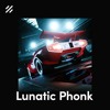 Free Phonk Drum Kit “Lunatic”